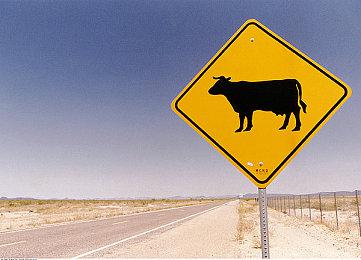 《怪物猎人：崛起》联动《街头霸王》 8月27日正式发布